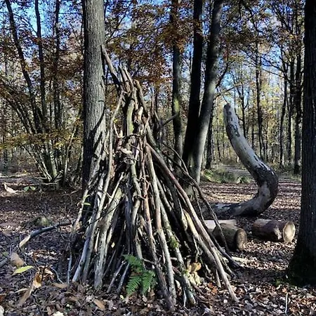 Maison De Charme Nichee Dans Le Bois Pour Vivre Experience Unique