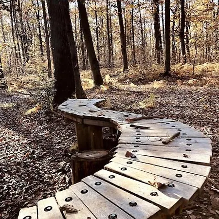 Maison De Charme Nichée Dans Le Bois Pour Vivre Expérience Unique Villa