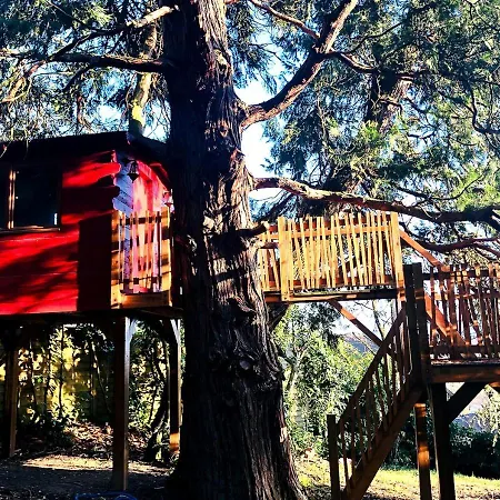 Maison De Charme Nichée Dans Le Bois Pour Vivre Expérience Unique Villa *